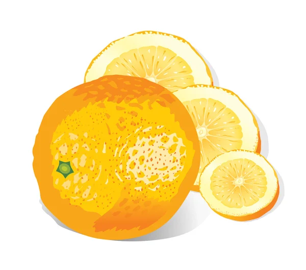 Orange (illustration) — Stock Vector