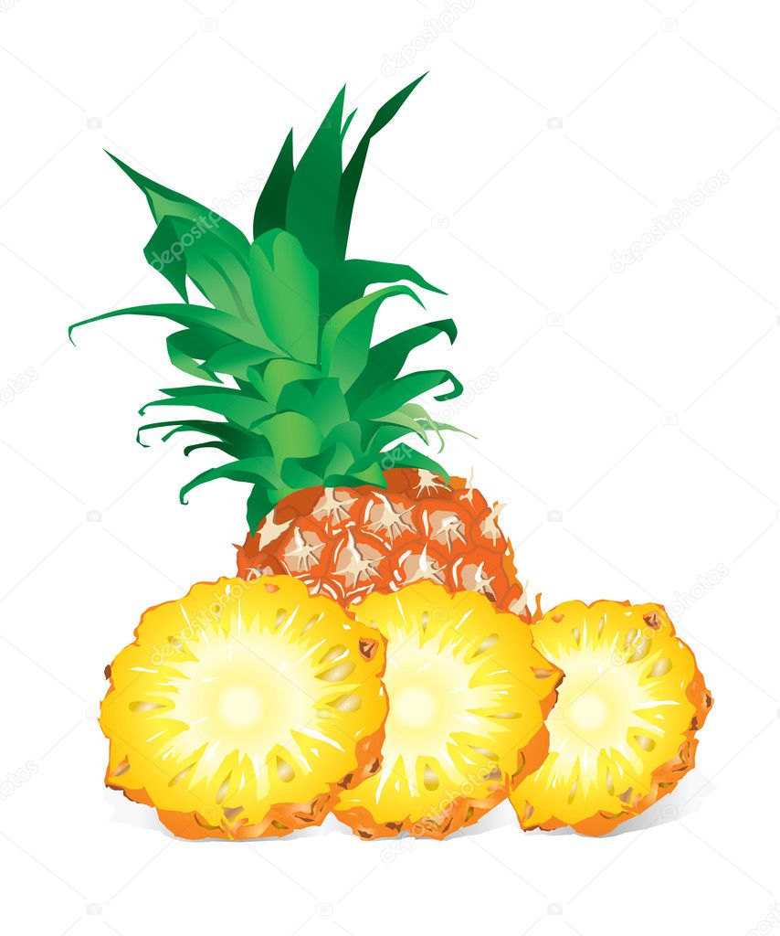 Pineapple (illustration)