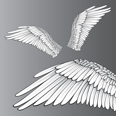 White Wings clipart