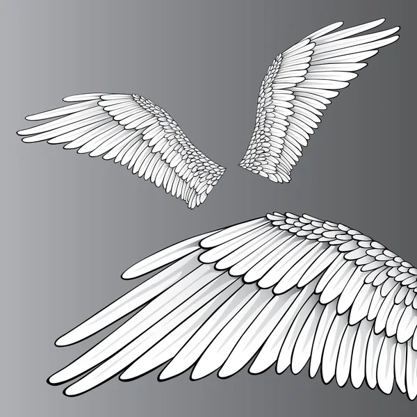 Białe skrzydła — Wektor stockowy