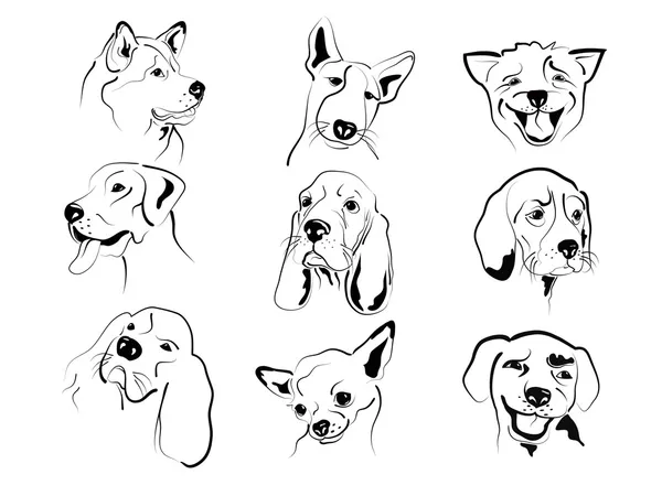 Hond gezichten — Stockvector