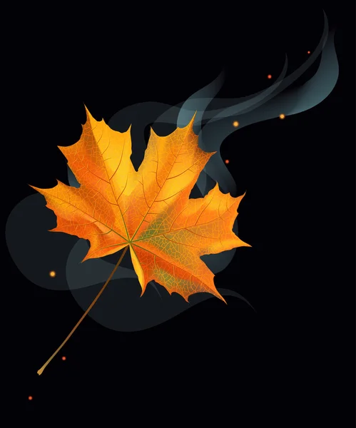 Jesienny liść klonu — Wektor stockowy