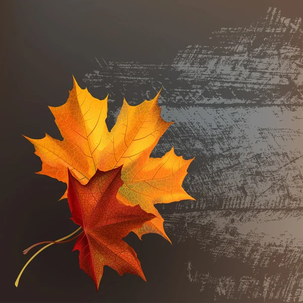 叶和木头纹理 — 图库矢量图片