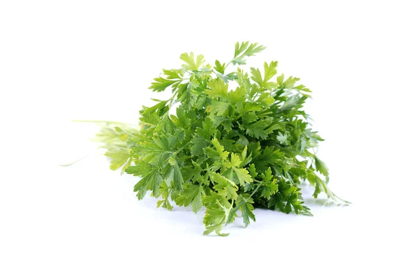 stock image Parsley