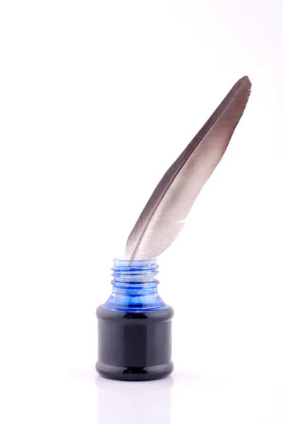 Feather quill — Stock Photo, Image