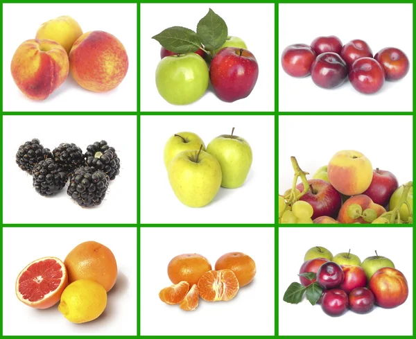 stock image Fruit set.