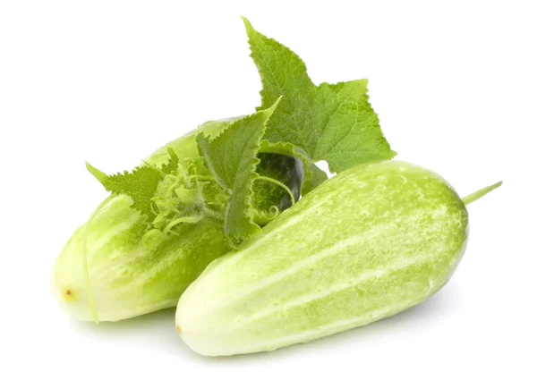 Ripe cucumbers. — Stock Photo, Image