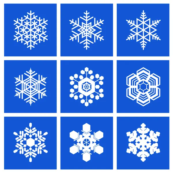 A set of snowflakes. — Stock Vector