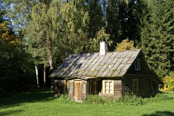 Das Haus und der Wald — Stockfoto