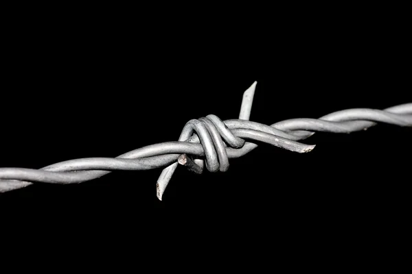 Stock image Barbed wire