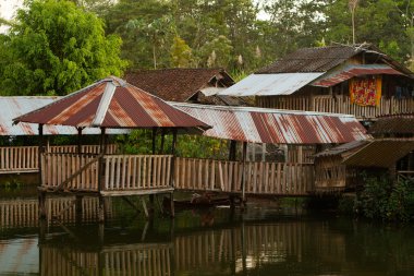 Jungle Lodge Ecuadorian Amazonia