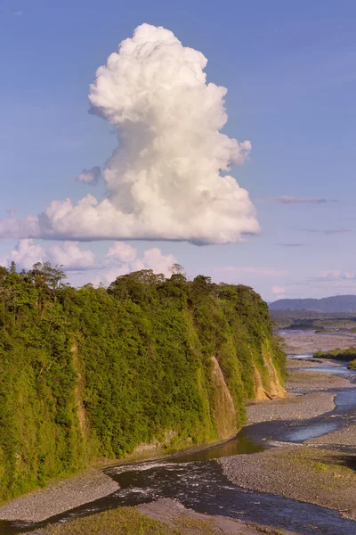 stock image Napo River