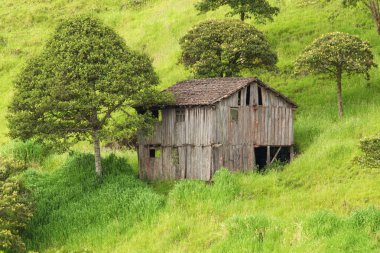 Abandoned Wood House