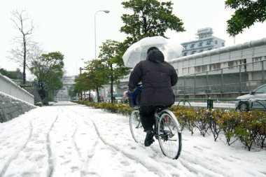 Snow in Tokyo clipart