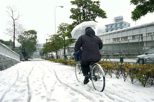 Nieve en Tokio — Foto de Stock