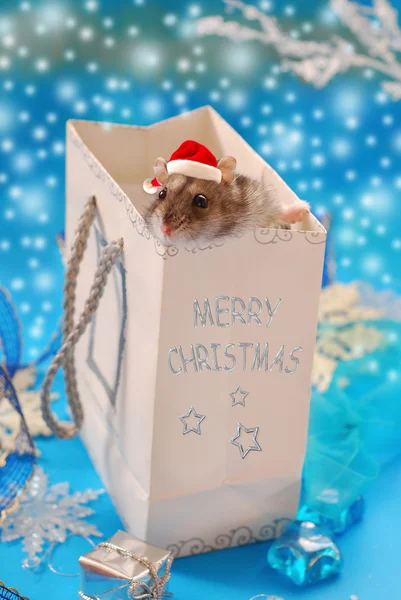 Pequeno hamster doce para o Natal — Fotografia de Stock