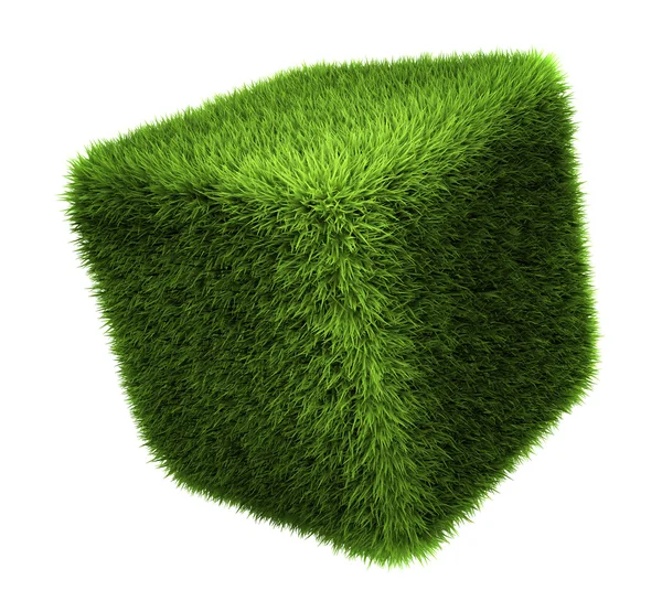 Cubo de grama — Fotografia de Stock