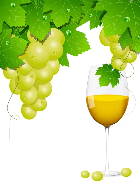Виноград — стоковий вектор