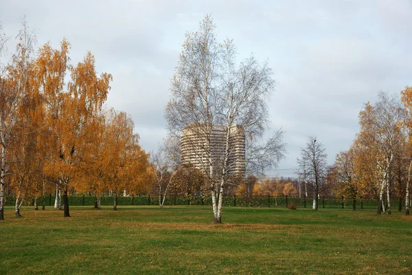 Autumn landscape, Moscow-Kolomna — Stock Photo, Image
