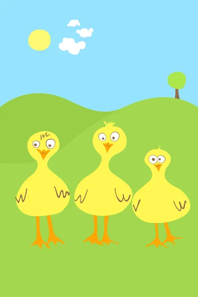 Three surprised ducks — Stock Vector
