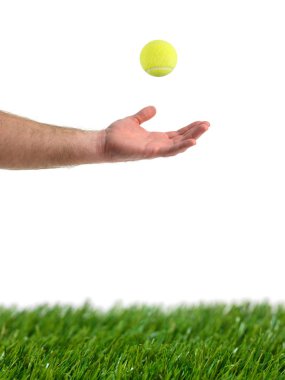 Tennis Balls clipart