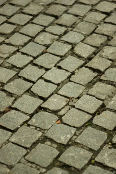石畳の石 — ストック写真
