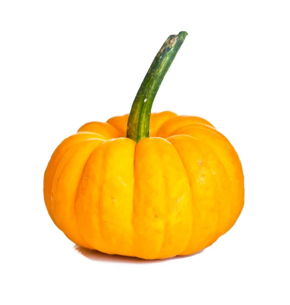 Ripe pumpkin fruits isolated on white — Stock Photo, Image