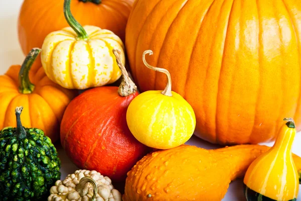 stock image Ripe pumpkin fruits isolated on white