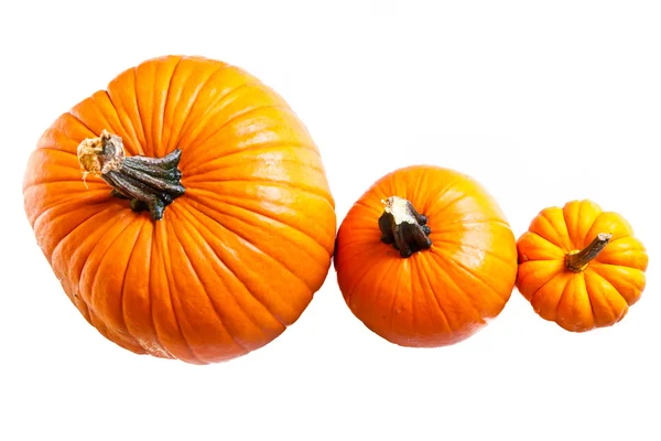Ripe pumpkin fruits isolated on white — Stock Photo, Image