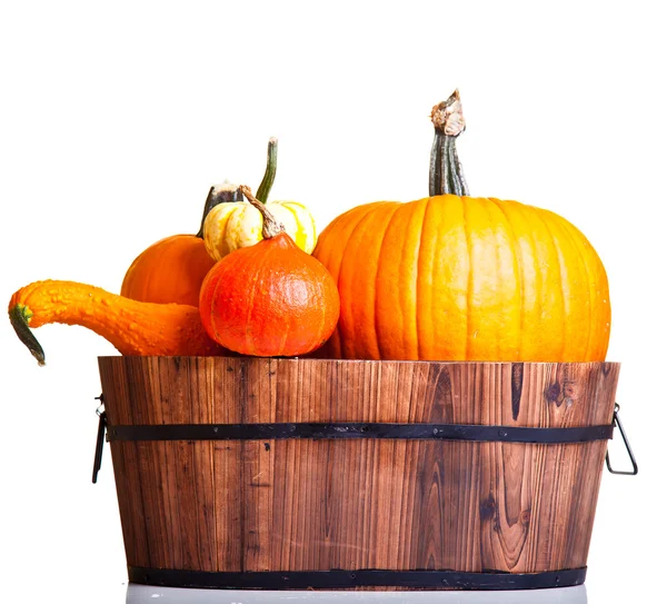 stock image Ripe pumpkin fruits isolated on white