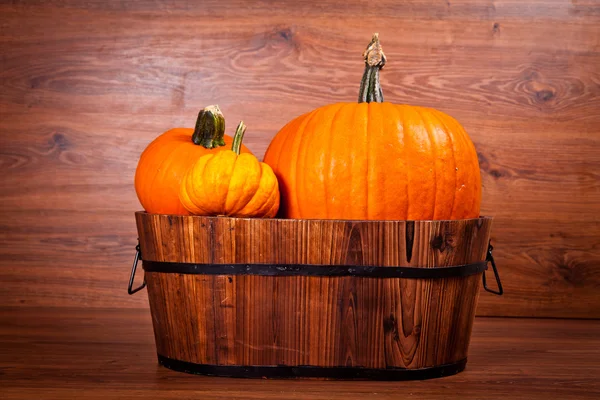 stock image Ripe pumpkin fruits on wooden background