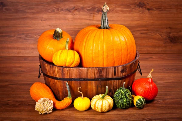 stock image Ripe pumpkin fruits on wooden background