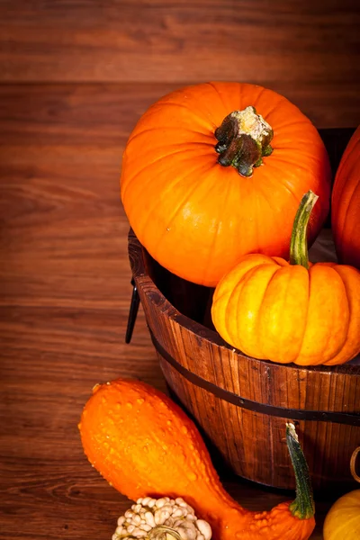 stock image Ripe pumpkin fruits on wooden background