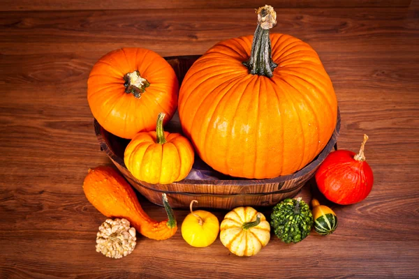 stock image Ripe pumpkin fruits on wooden background