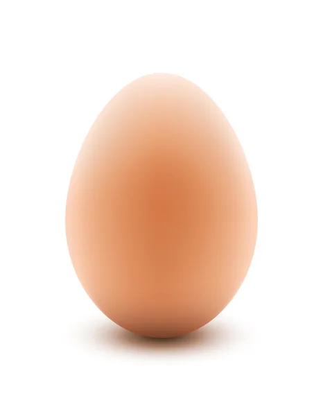 Huevo sobre blanco — Archivo Imágenes Vectoriales