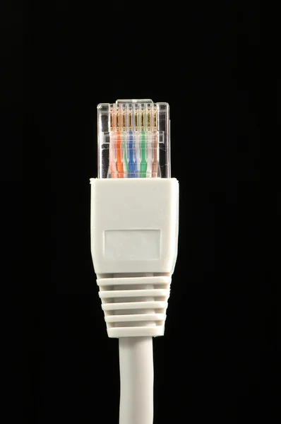 Câble réseau — Photo