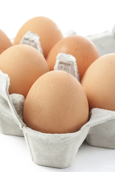 Yumurta closeup — Stok fotoğraf