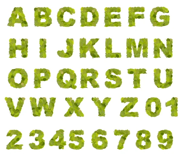 Алфавит зелёных листьев — стоковое фото