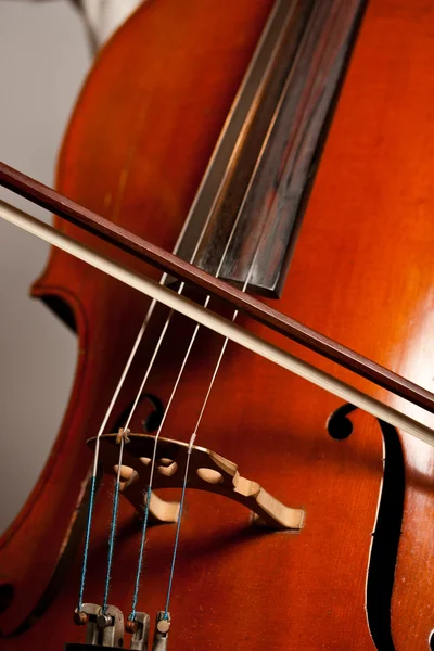 Spela cello — Stockfoto