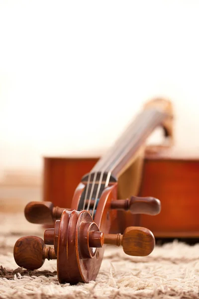 Violoncelle classique — Photo