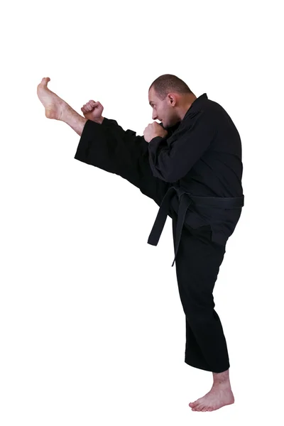 Pontapé lateral arte marcial — Fotografia de Stock