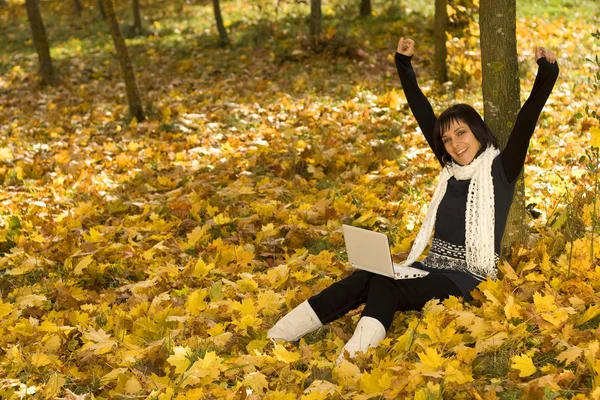 Woman working on laptop — Stock Photo, Image