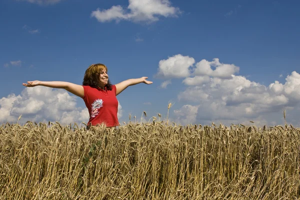 Vrouw in het veld — Stockfoto
