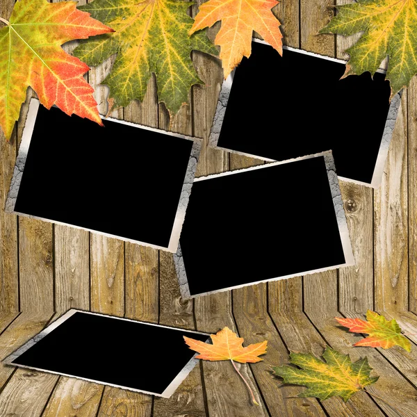 Осенняя рамка — стоковое фото
