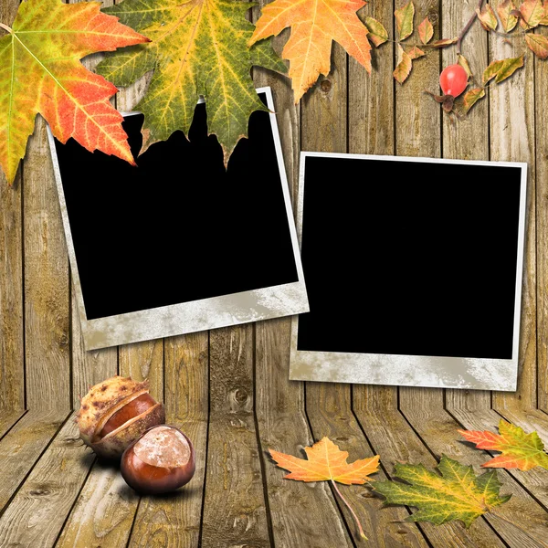 Осенняя рамка — стоковое фото