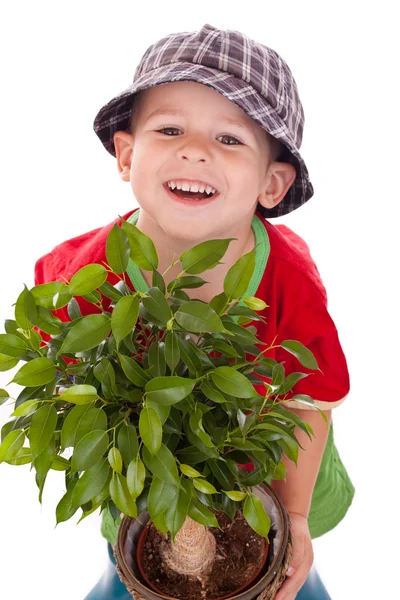 Little gardener boy — Stock Photo, Image