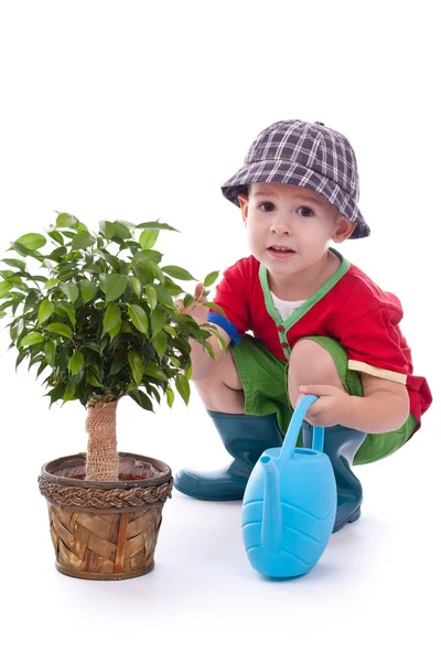 Mały chłopiec ogrodnik — Zdjęcie stockowe