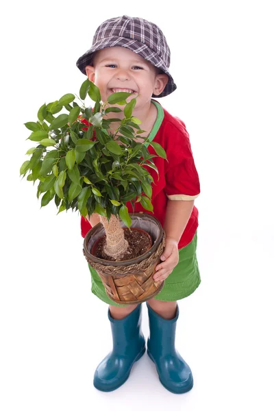 Tuinman jongetje — Stockfoto