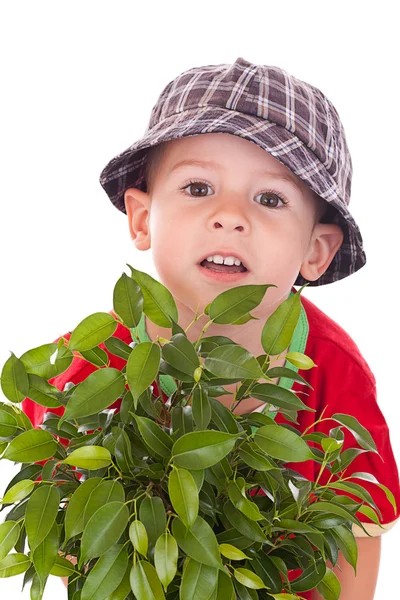 Little gardener boy — Stock Photo, Image