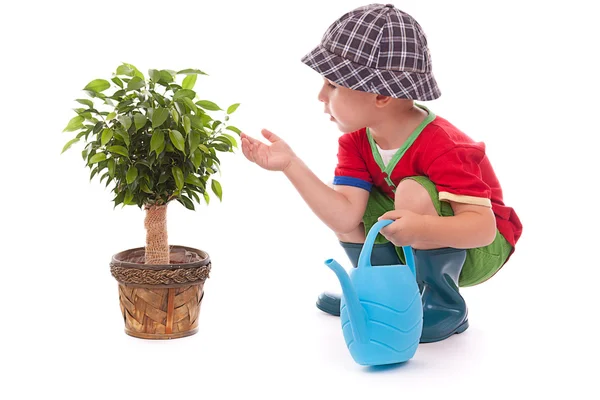 Kertész kisfiú — Stock Fotó